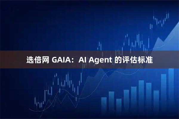 选倍网 GAIA：AI Agent 的评估标准