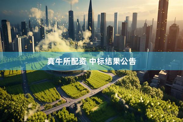 真牛所配资 中标结果公告