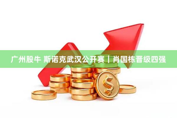 广州股牛 斯诺克武汉公开赛｜肖国栋晋级四强