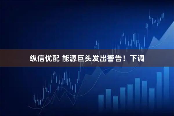 纵信优配 能源巨头发出警告！下调